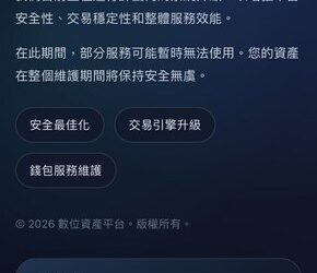 那些年我們追逐的爆利：一個全職媽媽在「數位資產」平台的真實經歷