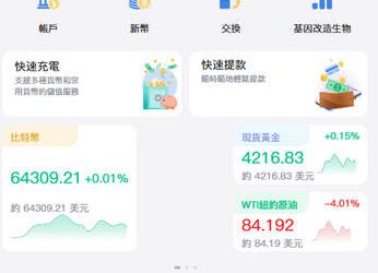 借鏡歷史教訓：從過去的吸金案看「BitFinex」平台的終局走向