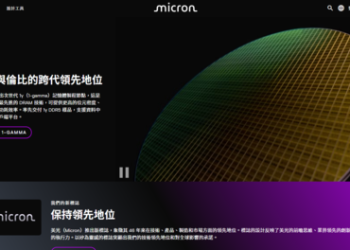 避開財務暗礁：從「Micron Technology」平台事件探討合理的資產配置