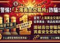 數據看風險：針對「上海黃金交易所」平台全球流量與資金集中度的客觀報告