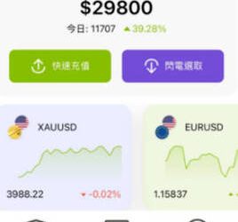 【專題報導】那些活在虛擬帳單裡的富豪：「FXGT」平台泡沫化紀實