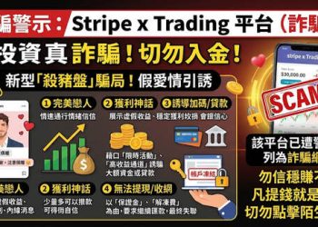 貪念與恐懼的交織：那些被「Stripe x Trading」平台困住的平凡人們